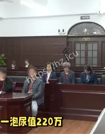 未成年人监护责任案